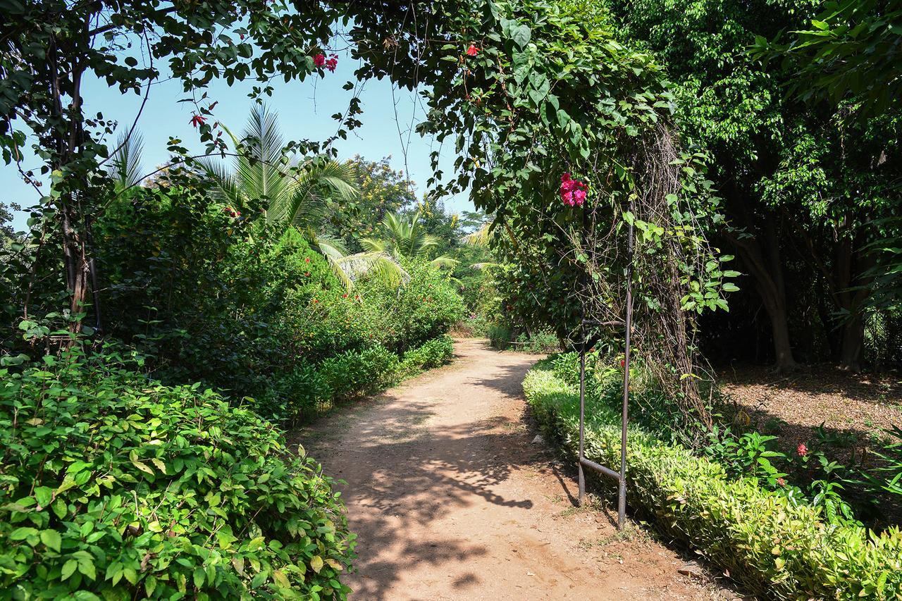 Baaz Jungle Resort Khawāsa Екстериор снимка