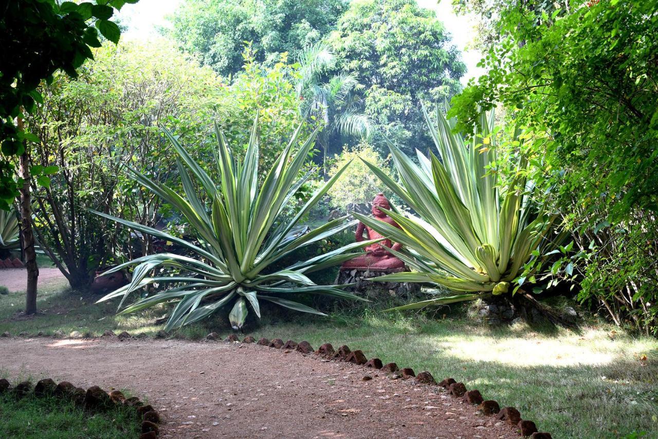 Baaz Jungle Resort Khawāsa Екстериор снимка