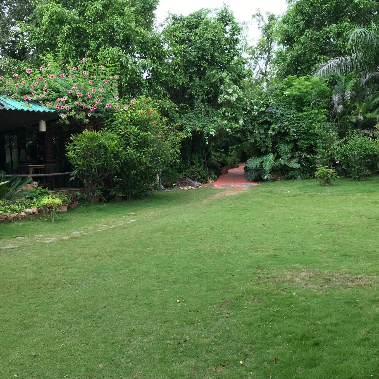 Baaz Jungle Resort Khawāsa Екстериор снимка