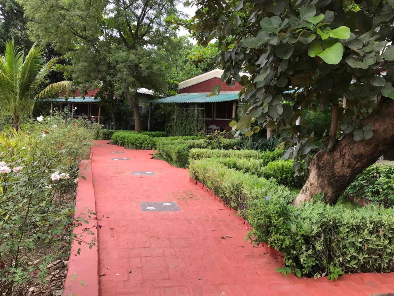 Baaz Jungle Resort Khawāsa Екстериор снимка