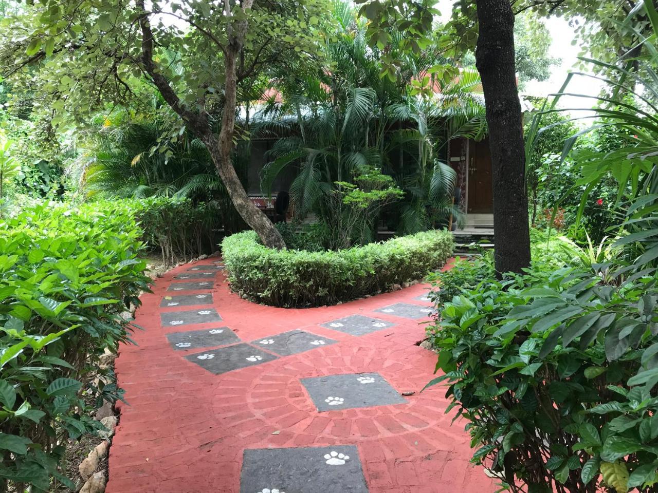 Baaz Jungle Resort Khawāsa Екстериор снимка