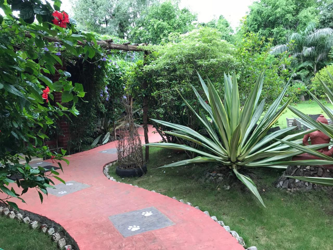 Baaz Jungle Resort Khawāsa Екстериор снимка